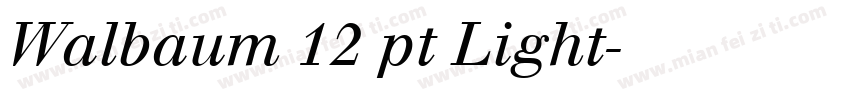 Walbaum 12 pt Light字体转换